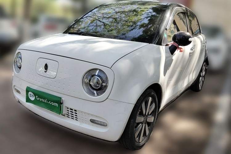 Used ORA Black Cat 2019 351 km Goddess Edition
