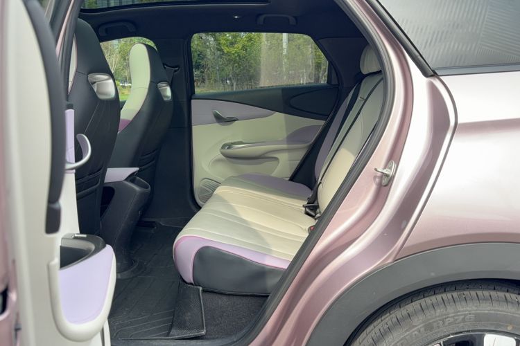 Used BYD Dolphin 2023 401km Knight Edition Left Rear Seat