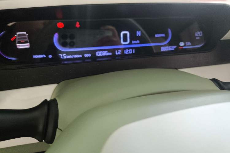 Used Geely Galaxy Panda 2024 200km Panda Rider Odometer Close Up