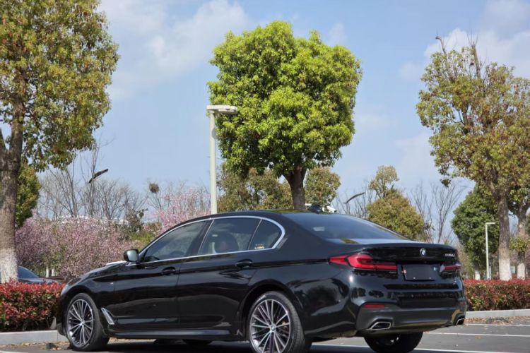 Used BMW 5 Series 2020 530Li Leading Model M Sport Package Exterior 4