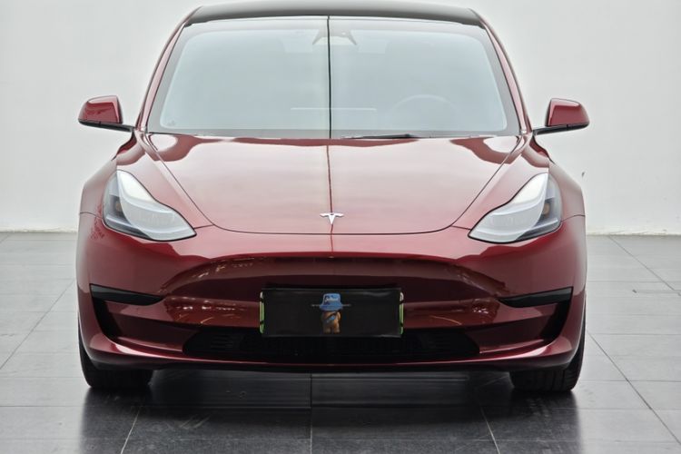 Used Tesla Model 3 2022 Rear-Wheel-Drive Version Exterior 8