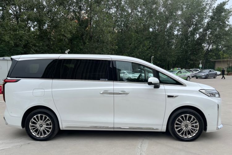 Used Wey Gaoshan 2023 Four-Wheel Drive Flagship Edition
