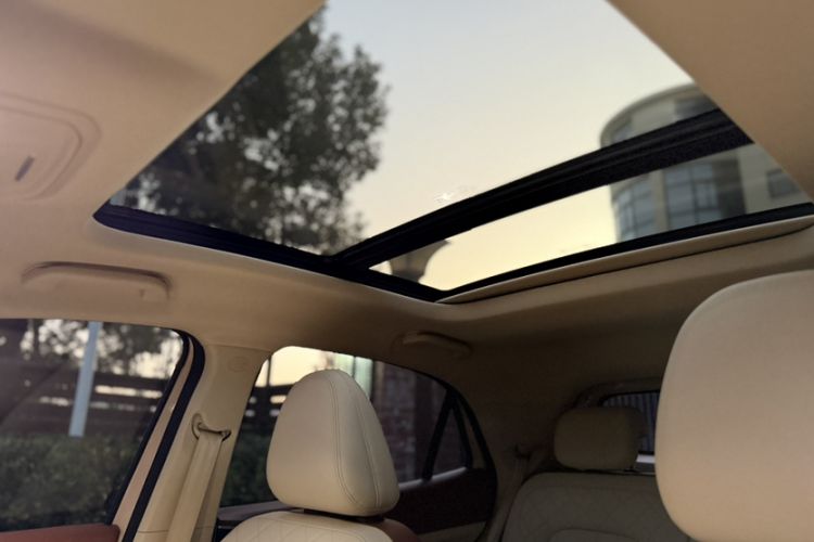 Used ORA Good Cat 2024 401 km Luxury Version