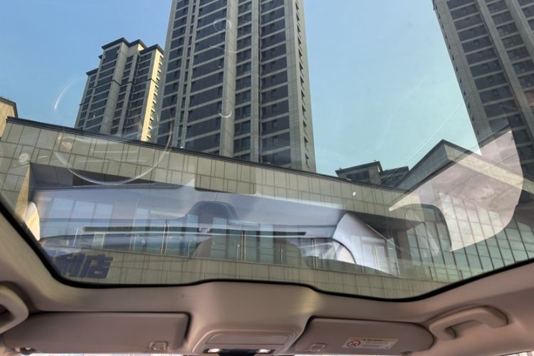 Used Ford Mustang Mach-E 2021 AION Y Plus Rear-Drive Luxury Edition (Long Range)