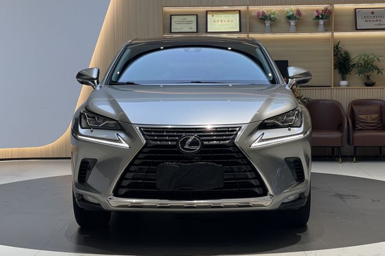 Used Lexus NX 2020 300h All-Wheel Drive FENGZHI Version China VI Standard Exterior 5