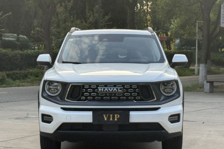 Used Haval H Dog 2023 2.0T All-Wheel-Drive Chaoye Plus
