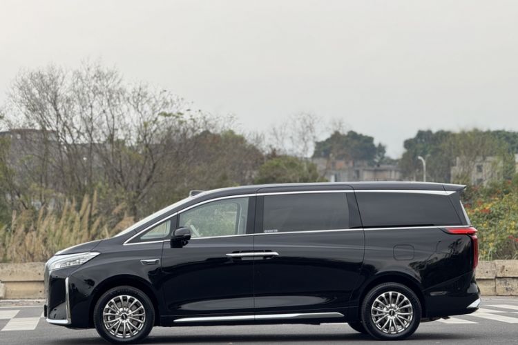 Used Wey Gaoshan 2025 Four-Wheel Drive Alpine 8