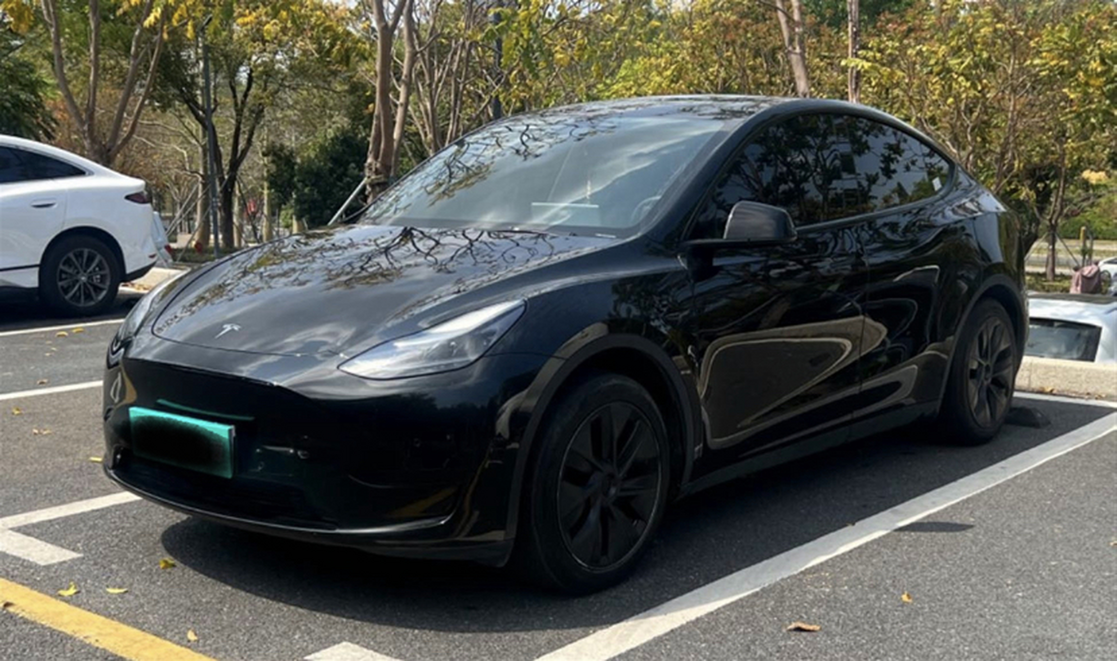 Parte inferior delantera