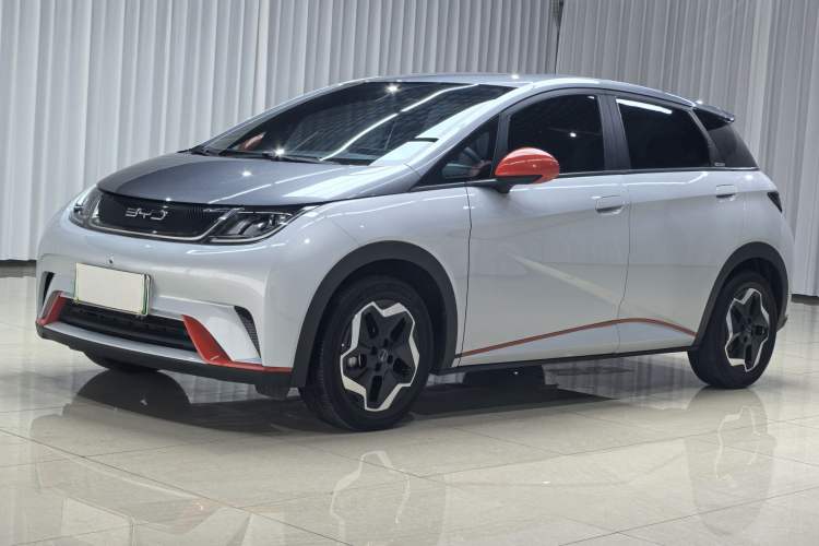 Used BYD Dolphin 2021 405 km Free Version