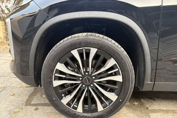 Used EXEED Lingyun 2024 300T Two-Wheel Drive Starlight Edition