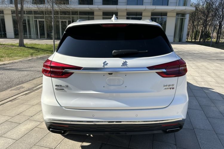Used Hongqi HS5 2019 2.0T Smart Connect Flagship All-Wheel-Drive Version Exterior 6