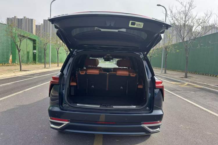 Used Wey Lanshan 2023 Four-Wheel Drive Ultra-Long Range Version
