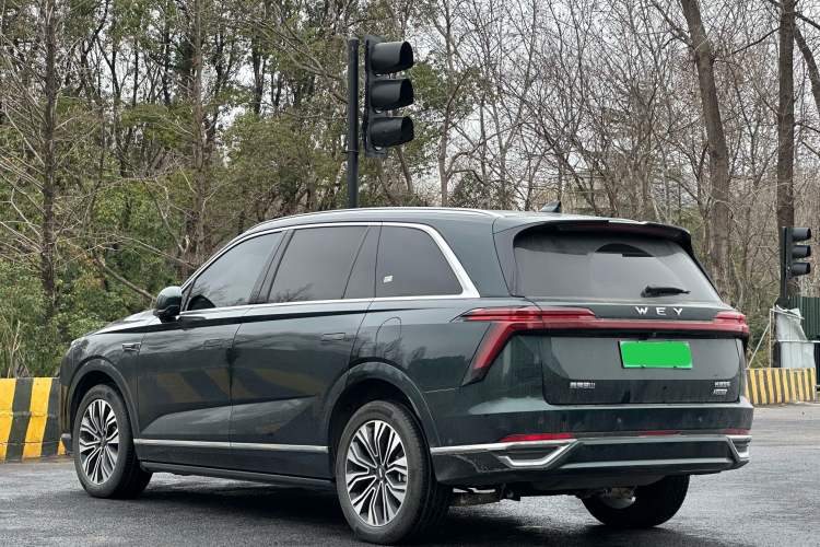 Used Wey Lanshan 2023 Four-Wheel Drive Ultra-Long Range Version
