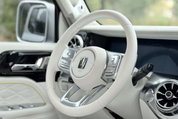 Used Cyberspace Tank 300 2021 2.0T Cyber Tank
