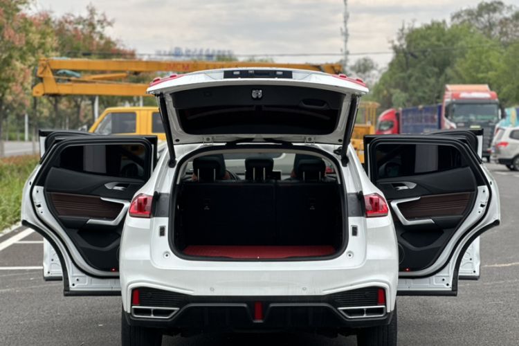 Used Wey VV5 2020 1.5T Two-Wheel Drive Smart Pioneer