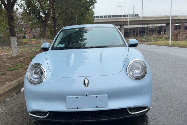 Used ORA Good Cat 2024 501 km Luxury Version