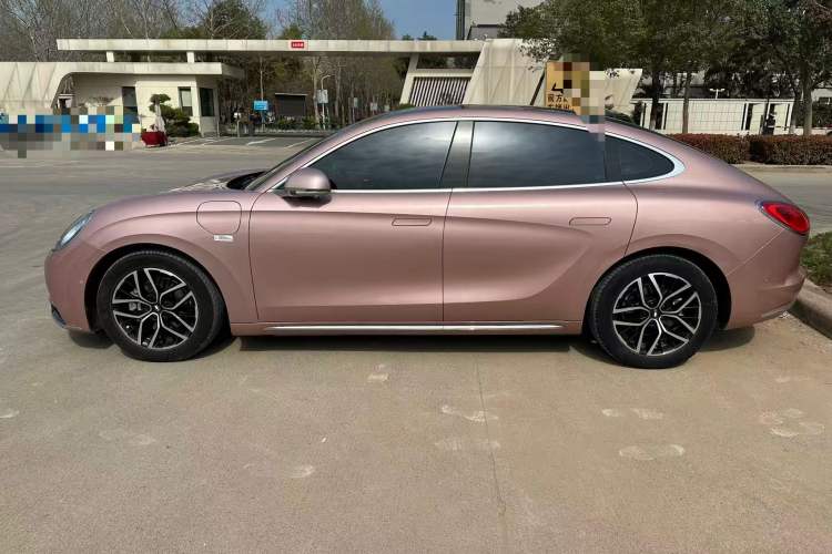 Used ORA Lightning Cat 2022 555 km Luxury Edition