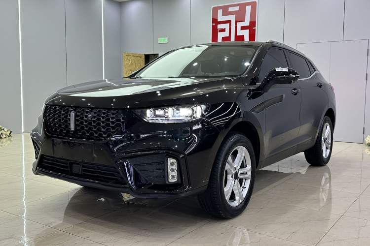 Used Wey VV5 2020 1.5T Two-Wheel Drive Color Pioneer