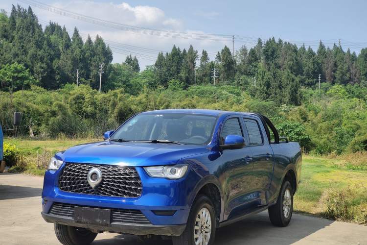 Used Great Wall Poer 2019 2.0T Commercial Version Manual Gasoline 4x4 Elite Long-Box GW4C20B