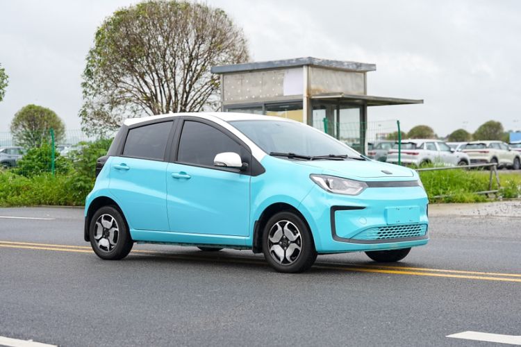 Used SOL E10X 2022 Flower Fairy Style Baby's Breath