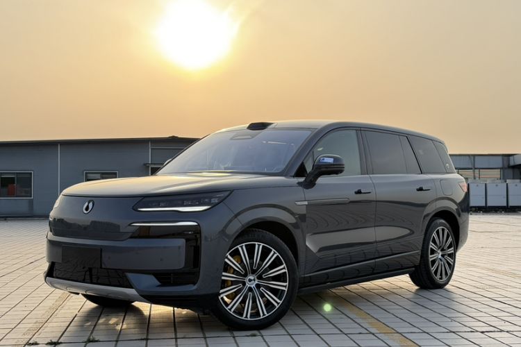 Used Denza N9 2025 Prestige Version