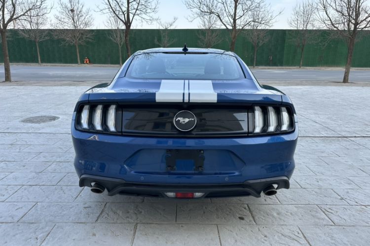 Used Ford Mustang 2021 2.3T EcoBoost
