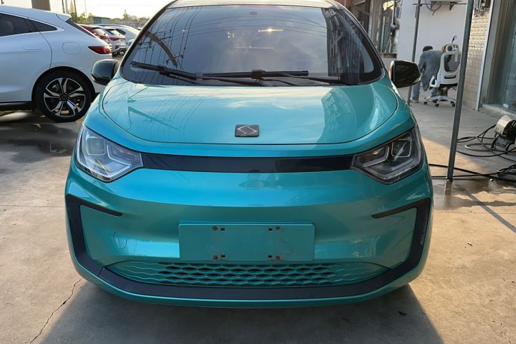 Used SOL E10X 2022 Flower Fairy Design Dandelion
