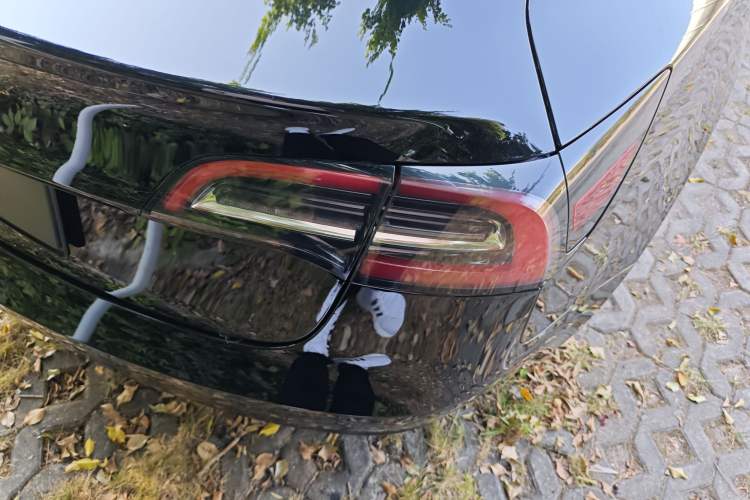 Used Tesla Model 3 2021 Standard Range Rear-Wheel Drive Upgraded Version 3D6