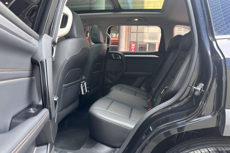 Used Haval DARGO 2022 1.5T DCT Two-Wheel Drive Border Collie Edition Left Front Seat