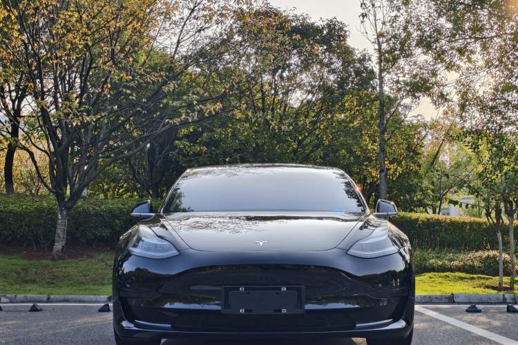 Used Tesla Model 3 2020 Revised Version Standard Range Rear-Wheel Drive – Upgraded Edition
