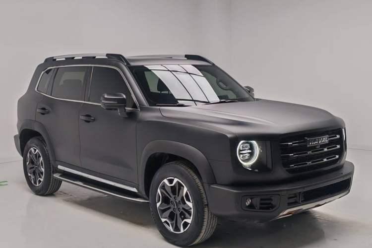 Used Haval DARGO 2021 2.0T DCT 4x4 Chinese Rural Dog Edition