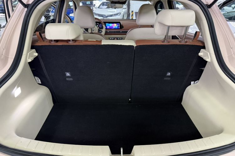 Used ORA Good Cat 2023 401 km Standard Range Luxury Version Lithium Iron Phosphate