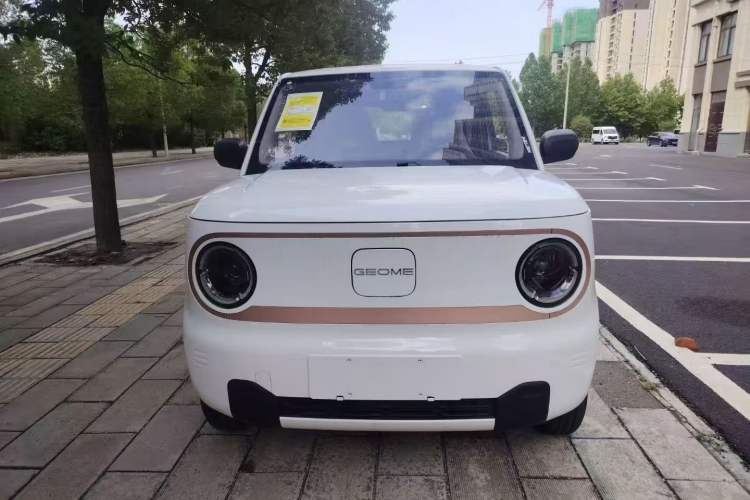 Used Geely Auto Panda 2024 Panda Mini 200km Endurance Bear