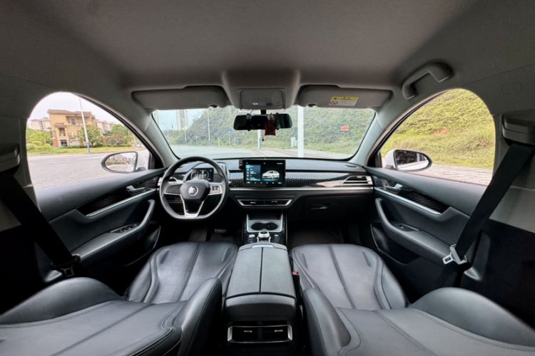 Used BYD Qin PLUS 2021 EV 400KM Leading Comfort Edition Headliner