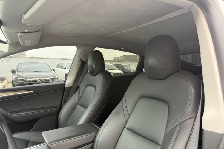 Used Tesla Model Y 2021 Standard Range Rear-Wheel Drive Version
