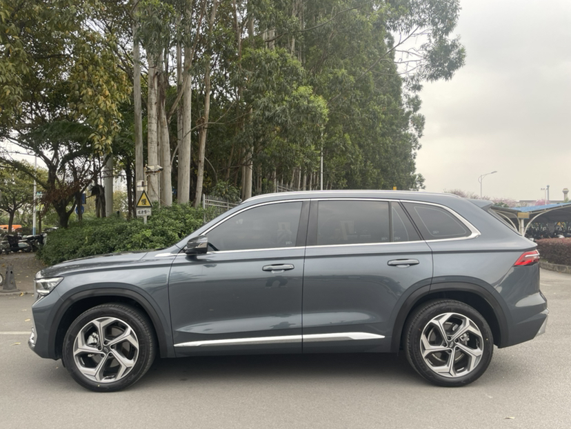 Geely Auto Monjaro L 2024 2.0TD DCT EVO Two-Wheel Drive Long-Range Version — снимка 4