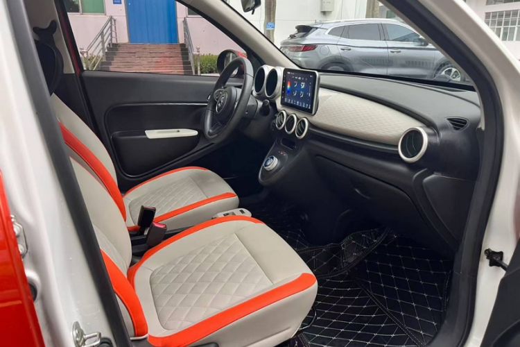 Used ORA Black Cat 2019 351 km Goddess Edition
