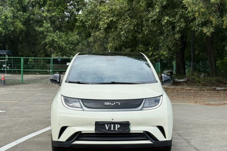 Used BYD Dolphin 2024 Honor Edition 420km Fashion Version
