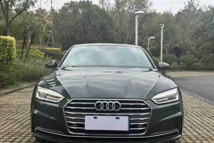 Used Audi A5 2017 Coupe 40 TFSI Fashion Model