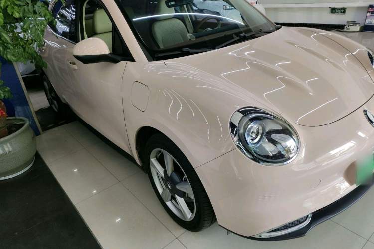 Used ORA Good Cat 2023 401 km Standard Range Luxury Version Lithium Iron Phosphate
