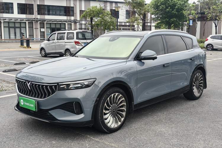 Used VOYAH FREE 2021 Four-Wheel Drive Standard Range-Extended Exclusive Luxury Package