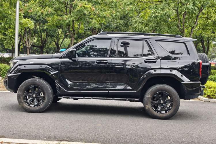 Used Tank 400 2025 2.0T Gasoline Version