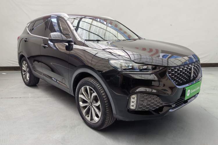 Used Wey VV6 2020 2.0T Two-Wheel Drive Smart Protection+ Exterior 1