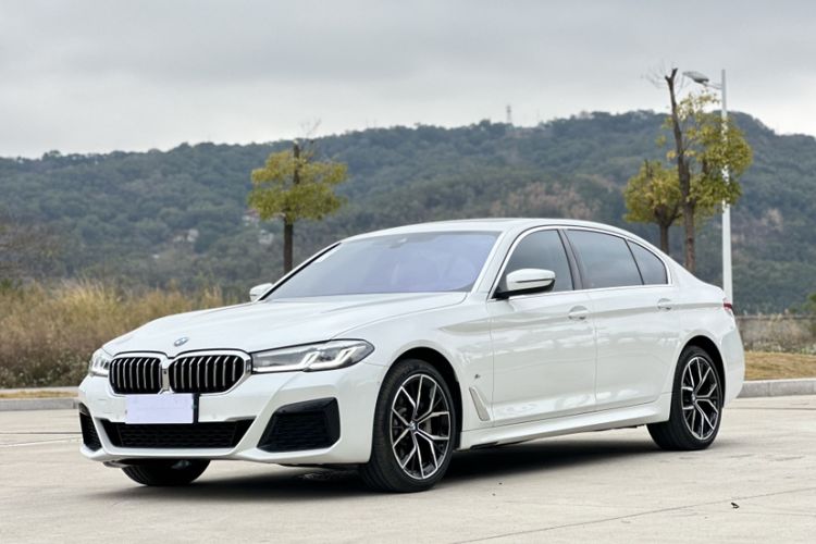 Used BMW 5 Series 2023 530Li Luxury Edition M Sport Package Exterior 9