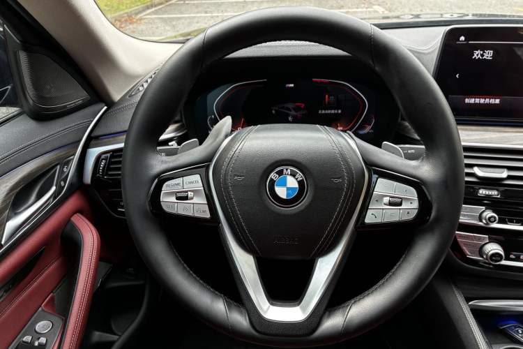 Used BMW 5 Series 2021 530Li Luxury Edition Premium Package Interior 6