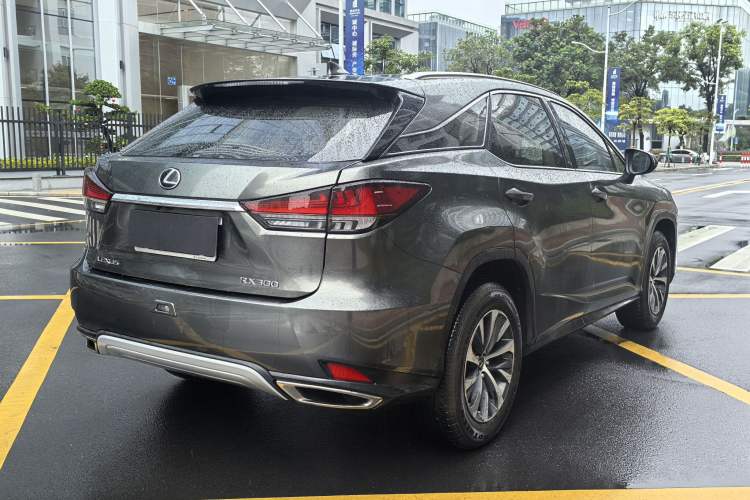 Used Lexus RX 2020 300 Two-Wheel Drive Elite Edition China VI Standard