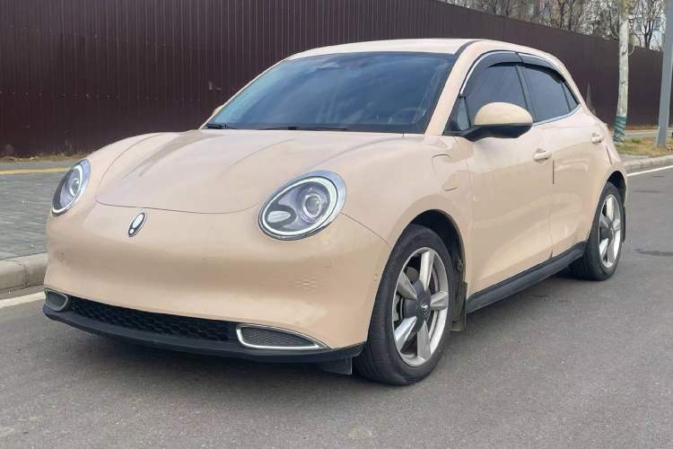 Used ORA Good Cat 2022 Morandi Edition 400km Standard Range Premium Version Lithium Iron Phosphate
