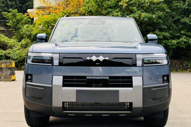 Used Formula Leopard Tai 7 2025 Model 200 km Two-Wheel Drive Max Edition
