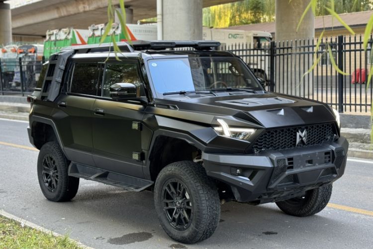 Used Brave warrior 917 2023 Pure Electric Base Model
