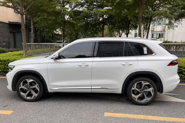 Used Geely Auto Monjaro L 2024 2.0TD DCT EVO Two-Wheel Drive Long-Range Version Exterior 3